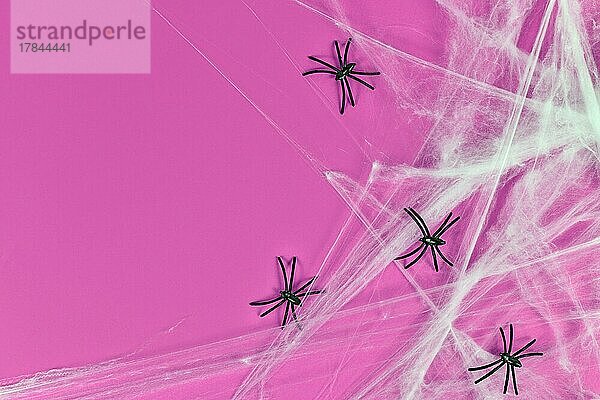 Spinnennetze und Plastikspinnen auf der rechten Seite des rosa Halloween Hintergrunds mit leerem Kopierbereich