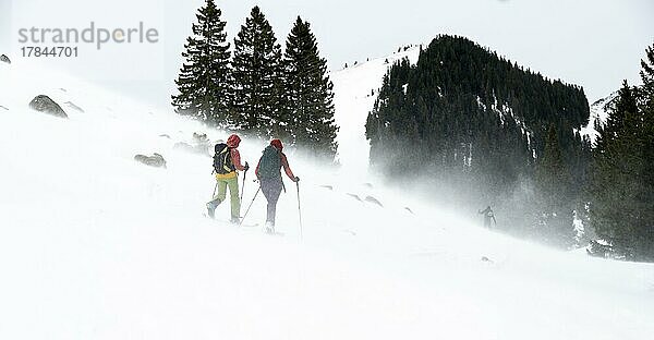 Zwei Skitourengeher  Schneesturm  Taubenstein  Schlierseer Berge  Mangfallgebirge  Bayern  Deutschland  Europa