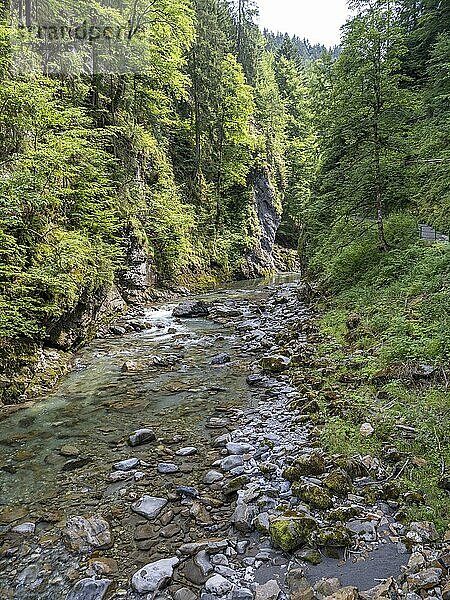 Fluss Breitach in der Breitachklamm bei Oberstdorf  Oberallgäu  Allgäu  Bayern  Deutschland  Europa