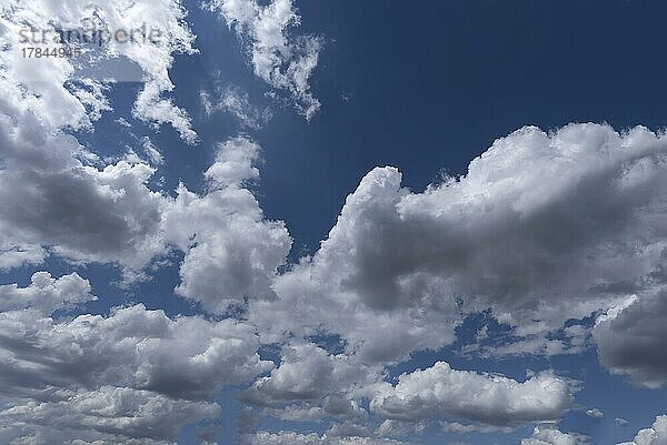 Haufenwolken (Cumulus)  Bayern  Deutschland  Europa