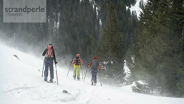 Drei Skitourengeher  Schneesturm  Taubenstein  Schlierseer Berge  Mangfallgebirge  Bayern  Deutschland  Europa