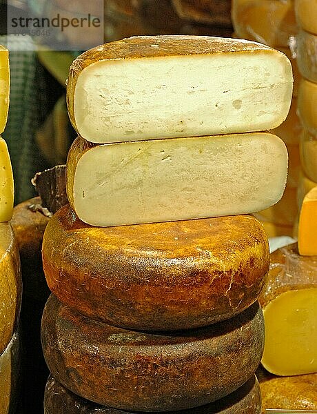 Käselaibe  Käse am Stück an einem Marktstand in Holland