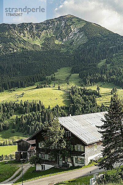 Blick auf Bauernhaus  Tannheim  Tannheimer Tal  Tirol  Österreich  Europa