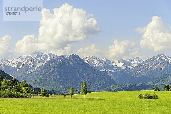 Ausblick auf das Bergpanorama der Allgäuer Alpen von einem Wanderweg bei Reichenbach  vorne der Himmelschrofen 1776 m  Allgäu  Bayern  Deutschland  Europa