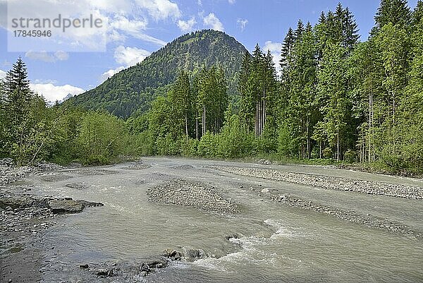 Ausblick über die Flusslandschaft der Trettach zum Berg Himmelschrofen 1759 m  Gebirgsfluß  Trettachtal  Oberstdorf  Allgäu  Allgäuer Alpen  Bayern  Deutschland  Europa