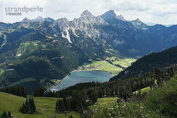 Blick vom Neunerköpfle auf Haldensee und Berge  Tannheimer Tal  Tirol  Österreich  Europa