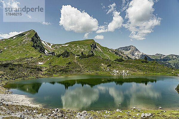Lache  Drei Seen Wanderung  Tannheimer Tal  Tirol  Österreich  Europa