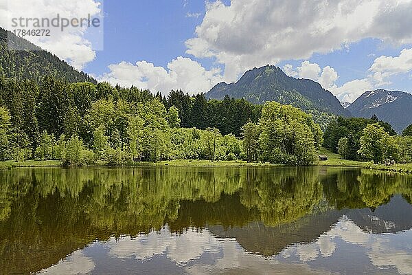 Moorweiher  idyllisch gelegener See  Spiegelbild der Landschaft auf der Wasseroberfläche  Oberstdorf  Allgäuer Alpen  Allgäu  Bayern  Deutschland  Europa