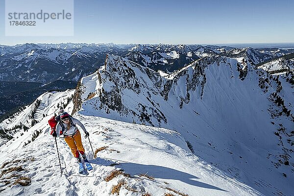 Skitourengeher im Winter auf der schneebedeckten Rotwand  Berge im Winter  Schlierseer Berge  Mangfallgebirge  Bayern  Deutschland  Europa