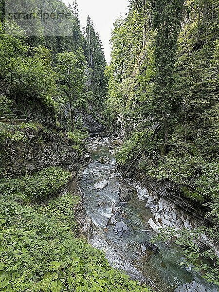 Fluss Breitach in der Breitachklamm bei Oberstdorf  Oberallgäu  Allgäu  Bayern  Deutschland  Europa