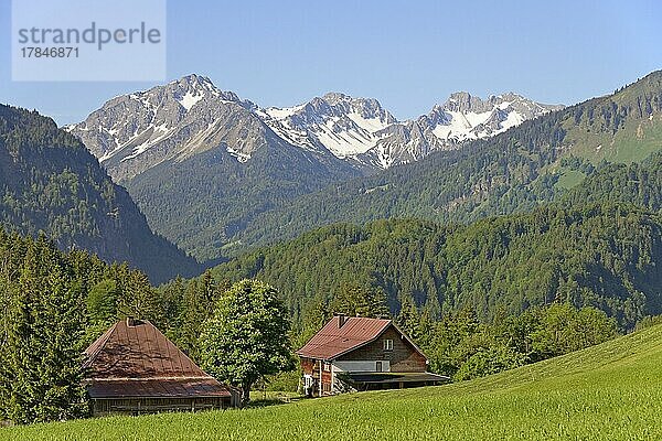 Ausblick auf einen idyllisch gelegenen Berghof und die Berge im Stillachtal  Allgäuer Alpen  Allgäu  Bayern  Deutschland  Europa