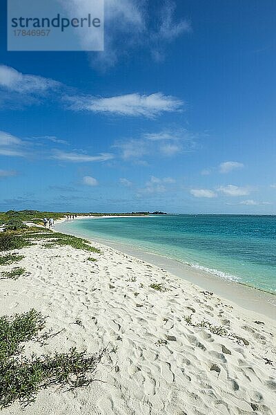 Weißer Sandstrand in türkisfarbenem Wasser  Dry Tortugas National Park  Florida Keys  Florida  USA  Nordamerika