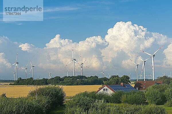 Windkraftanlagen in den Marschen der Reussenköge  Gebäude mit Solaranlage  Landwirtschaft  Getreideanbau  blauer Himmel  Nordfriesland  Schleswig-Holstein  Deutschland  Europa