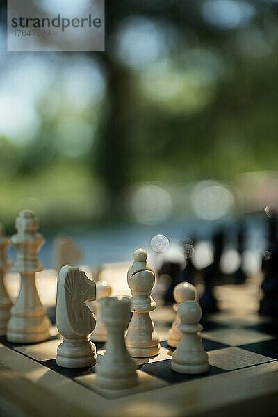 Schachspiel  Holzfiguren  Außenaufnahme  schwache Tiefenschärfe