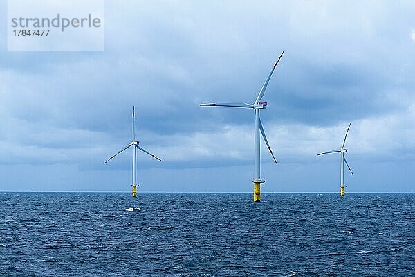 Offshore-Windpark Meerwind  Wirtschaftszone  nordwestlich Helgoland  Nordsee  Deutschland  Europa
