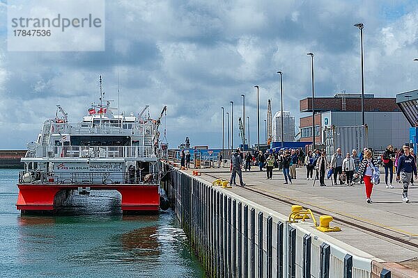 Ankunft des Ausflugsschiffes im Außenhafen  Katamaran Halunder Jet  Passagiere  Kai  Helgoland  Schleswig-Holstein  Deutschland  Europa