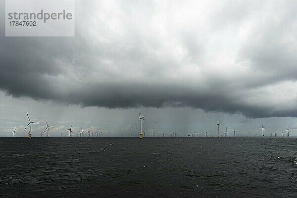 Offshore-Windpark Meerwind  Wirtschaftszone  nordwestlich Helgoland  Nordsee  Deutschland  Europa