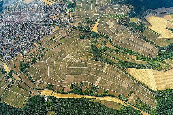 Luftbild Weinbau in Thüngersheim  Gemeinde  unterfränkischen Landkreis Würzburg  Rebfläche  größten Weinbaugemeinden in Franken  Bayern  Deutschland  Europa