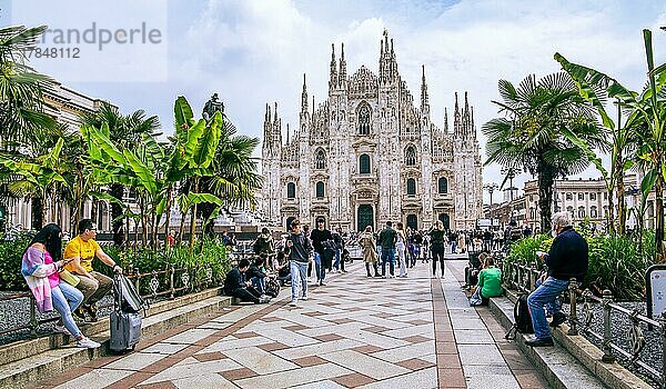 Palmenrabatte auf der Piazza del Duomo  Domplatz mit Dom  Mailand  Lombardei  Norditalien  Italien  Europa