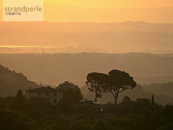 Die Landschaft der Tskana östlich von Montepulciano im morgendlichen Frühnebel  Montepulciano  Toskana  Italien  Europa