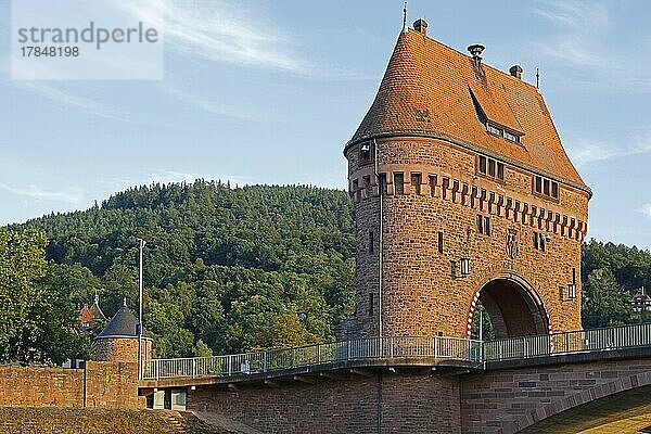 Brückentor auf der Mainbrücke  Miltenberg  Bayern  Unterfranken  Franken  Deutschland  Europa