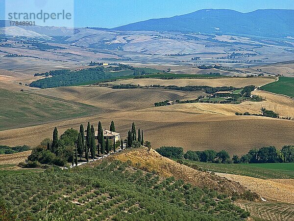 Hügellandschaft mit Zypressen in der Umgebung von San Quirico d'Orcia in der Toskana