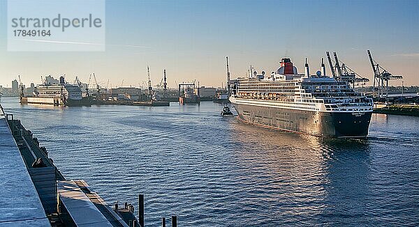 Kreuzfahrtschiff  Transatlantikliner Queen Mary 2 auf der Elbe im Hamburger Hafen bei früher Morgensonne  Hamburg  Land Hamburg  Norddeutschland  Deutschland  Europa