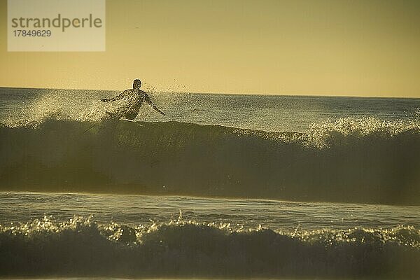 Surfer im Gegenlicht im Meer von Del Mar  Kalifornien  USA  Nordamerika