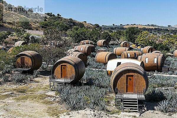 Hotelzimmer in Form eines Tequila-Fasses in einem blauen Agavenfeld  Tequila-Fabrik La Cofradia  Unesco-Stätte Tequila  Jalisco  Mexiko  Mittelamerika