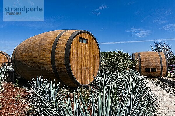 Hotelzimmer in Form eines Tequila-Fasses in einem blauen Agavenfeld  Tequila-Fabrik La Cofradia  Unesco-Stätte Tequila  Jalisco  Mexiko  Mittelamerika