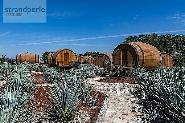 Hotelzimmer in Form eines Tequila-Fasses in einem blauen Agavenfeld  Tequila-Fabrik La Cofradia  Unesco-Stätte Tequila  Jalisco  Mexiko  Mittelamerika