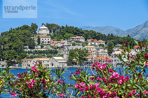 Blick auf Cavtat  Gespanschaft Dubrovnik-Neretva  Kroatien  Europa