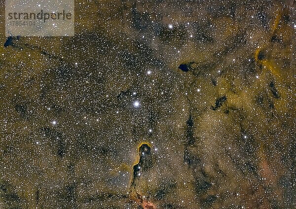 Falschfarbenbild mit Elefantenrüsselnebel  IC1396 im Sternbild Kepheus mit aktivem Sternentstehungsgebiet