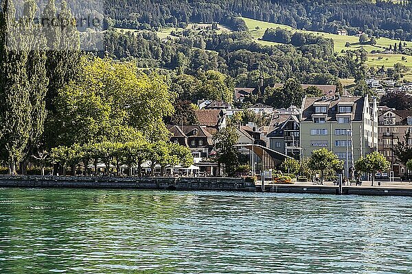 Seepromenade  Hafen  Rorschach  Bodensee  Kanton St. Gallen  Schweiz  Europa