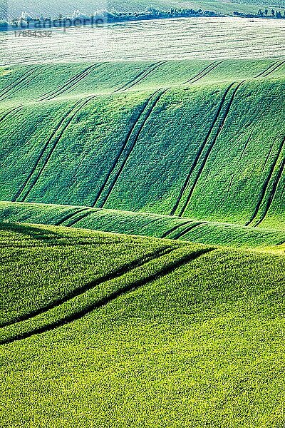 Hügellandschaft mit grünen Feldern in Südmähren  Tschechische Republik  Europa