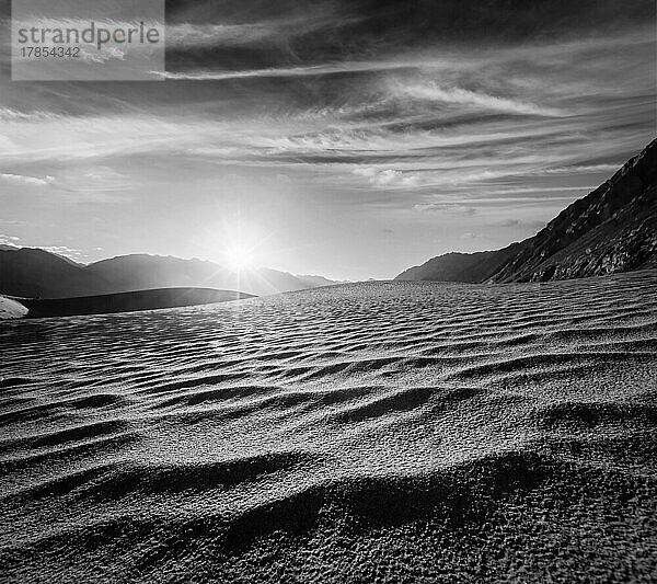 Sanddünen im Himalaya bei Sonnenaufgang. Hunder  Nubra-Tal  Ladakh  Indien. Schwarz-Weiß-Version