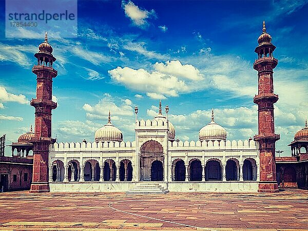 Vintage Retro-Effekt gefiltert Hipster-Stil Bild der Moti Masjid (Pearl Moschee)  Bhopal  Madhya Pradesh  Indien  Asien