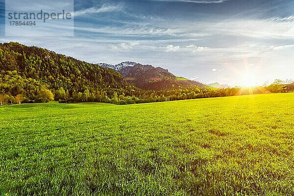 Patorale Wiese in den Bayerischen Alpen. Bayern  Deutschland. Mit Streulicht und Linsenreflexion