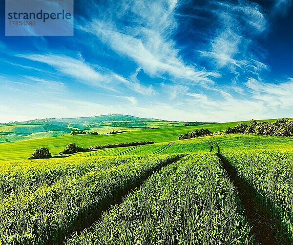 Vintage Retro-Effekt gefiltert Hipster-Stil Bild der grünen Felder von Mähren mit blauem Himmel  Tschechische Republik  Europa