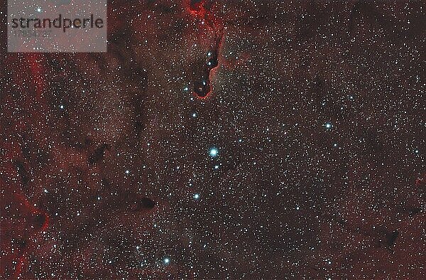 Diffuser Emissionsnebel NGC1396  Elefantenrüssel Nebel im Sternbild Kepheus