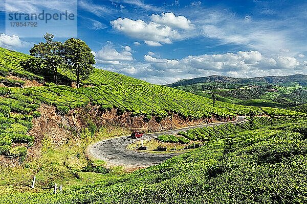 Kerala Indien Reise Hintergrund  Auto auf der Straße in grünen Teeplantagen in Munnar  Kerala  Indien  Asien