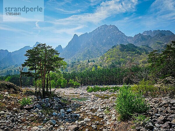 Landschaft und Bäume im Seoraksan-Nationalpark  Südkorea  Asien