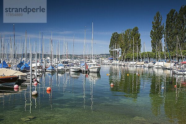 Hafen von Unteruhldingen am Bodensee  Baden-Württemberg  Deutschland  Europa