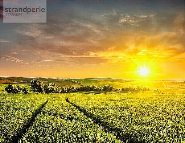 Schöner Sonnenuntergang in den Feldern von Mähren  Tschechische Republik  Europa