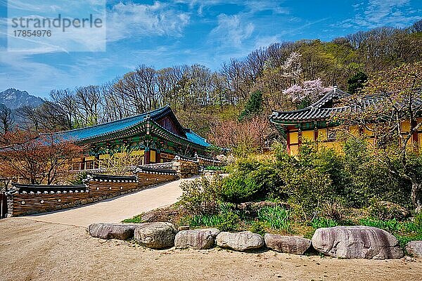 Buddhistischer Tempel Sinheungsa im Seoraksan-Nationalpark  Seoraksan  Südkorea  Asien