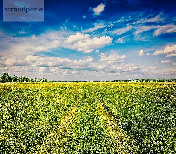 Frühling Sommer Hintergrund  Vintage Retro-Effekt gefiltert Hipster-Stil Bild der ländlichen Straße im grünen Gras Feld Wiese Landschaft Landschaft mit blauem Himmel