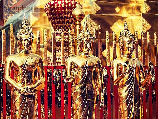Vintage Retro-Effekt gefiltert Hipster-Stil Bild von Buddha-Statuen im Wat Phra That Doi Suthep  Chiang Mai  Thailand  Asien