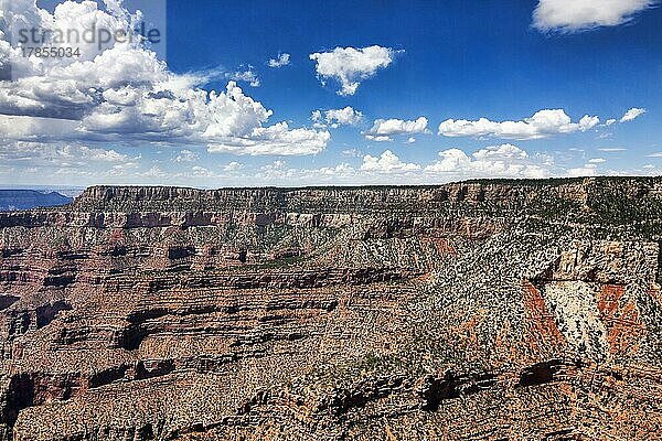 Beeindruckende Schluchten des Colorado River  South Rim  Grand-Canyon-Nationalpark  Luftaufnahme  Arizona  USA  Nordamerika
