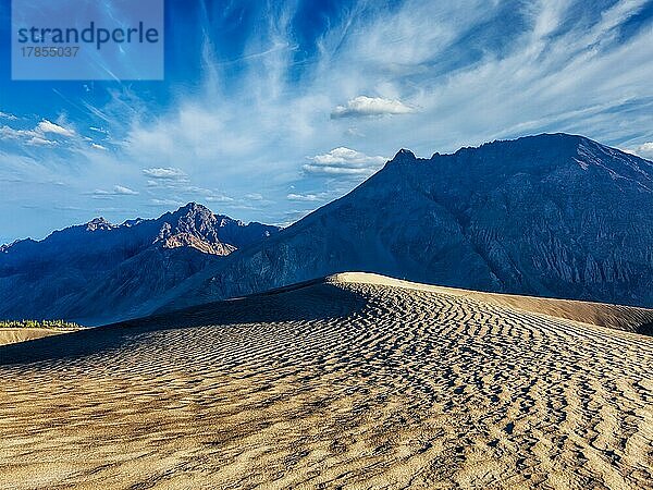 Sanddünen im Nubra-Tal im Himalaya. Hunder  Nubra-Tal  Ladakh