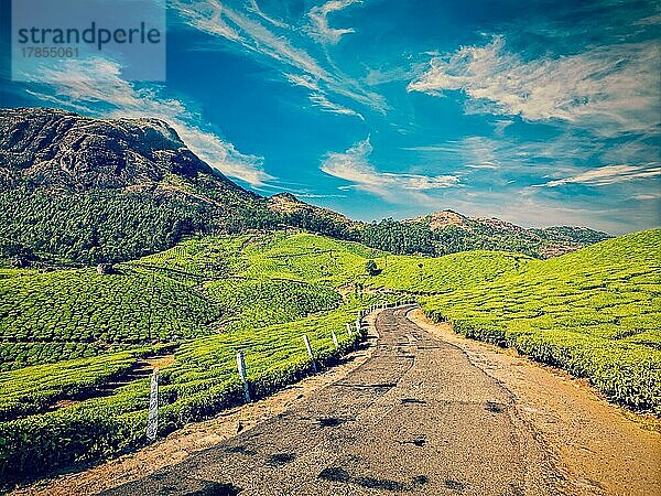 Reisen Kerala Indien Konzept Hintergrund  Vintage Retro-Effekt gefiltert Hipster-Stil Bild der malerischen Straße in grünen Teeplantagen  Munnar  Kerala Staat  Indien  Asien